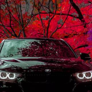 BMW F30 iPhone wallpaper