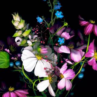 Apple iPhone 16 wallpaper