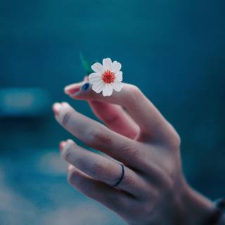 Hand holding phone wallpaper