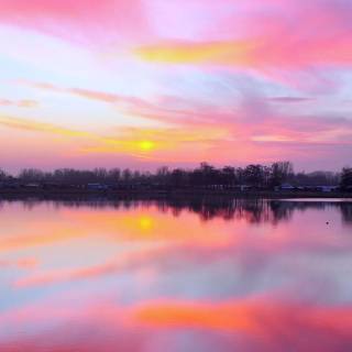 iPhone beauty wallpaper