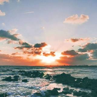 iPhone beauty wallpaper