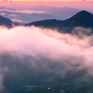 iPhone beauty wallpaper