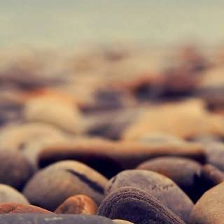 iPhone beauty wallpaper