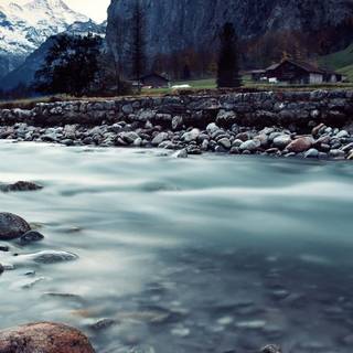 iPhone beauty wallpaper