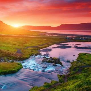 iPhone beauty wallpaper