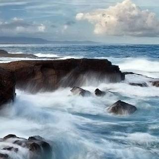 iPhone beauty wallpaper