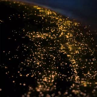 iPhone beauty wallpaper