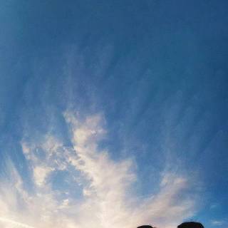 Taekook phone wallpaper