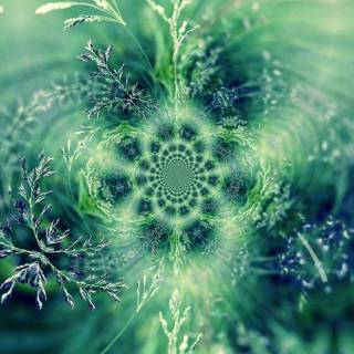 Fractals iPhone wallpaper