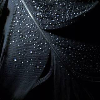 iPhone 6 dark wallpaper