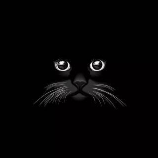 iPhone 6 dark wallpaper