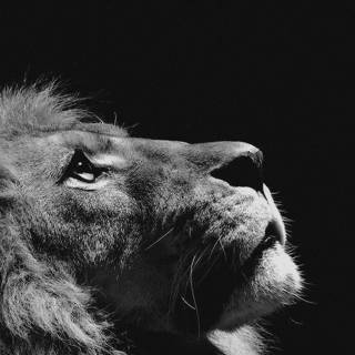 iPhone 6 dark wallpaper