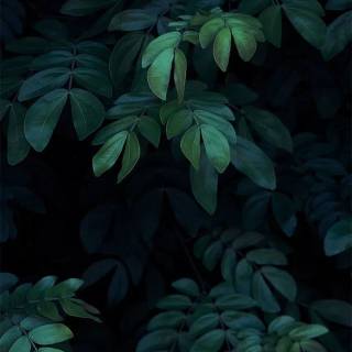 iPhone 6 dark wallpaper