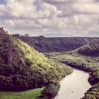 Phone river wallpaper