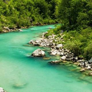 Phone river wallpaper