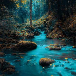 Phone river wallpaper