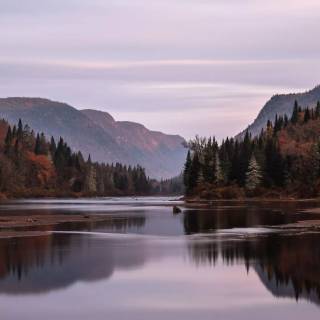 Phone river wallpaper