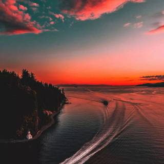 Phone river wallpaper