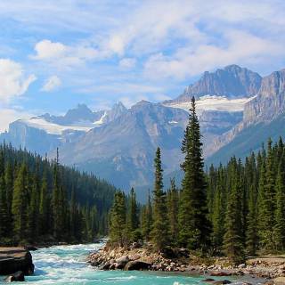 Phone river wallpaper