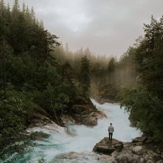 Phone river wallpaper