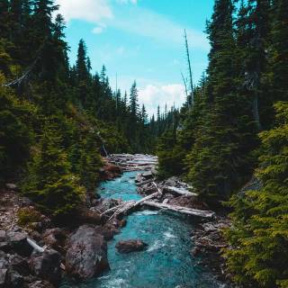 Phone river wallpaper