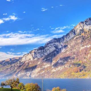 Phone river wallpaper