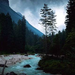 Phone river wallpaper