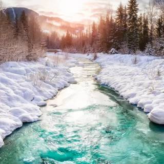 Phone river wallpaper