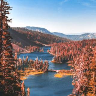 Phone river wallpaper