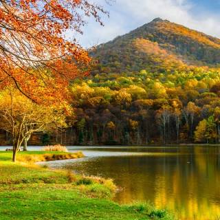 Phone river wallpaper