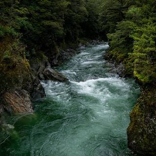 Phone river wallpaper