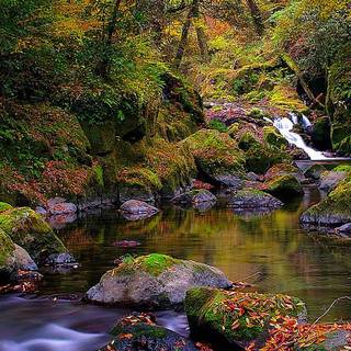 Phone river wallpaper