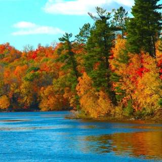 Phone river wallpaper