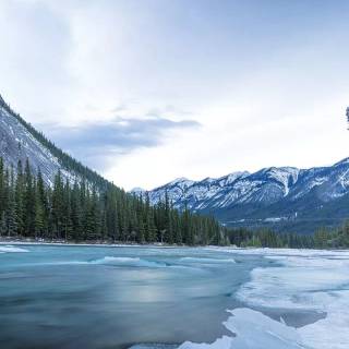 Phone river wallpaper