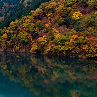 Phone river wallpaper