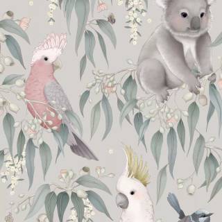 Koala phone wallpaper