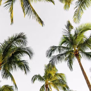 iPhone 12 sky wallpaper