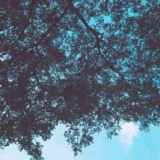 iPhone 12 sky wallpaper