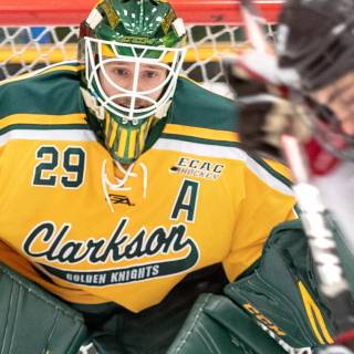 Clarkson Golden Knights wallpaper