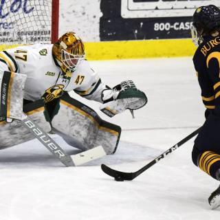 Clarkson Golden Knights wallpaper