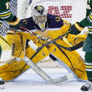 Clarkson Golden Knights wallpaper