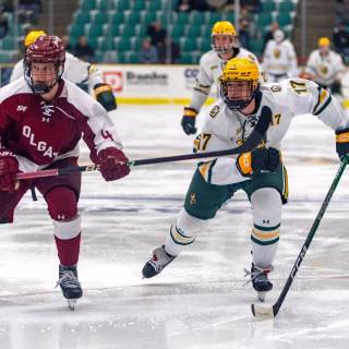 Clarkson Golden Knights wallpaper