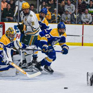 Clarkson Golden Knights wallpaper