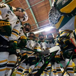 Clarkson Golden Knights wallpaper