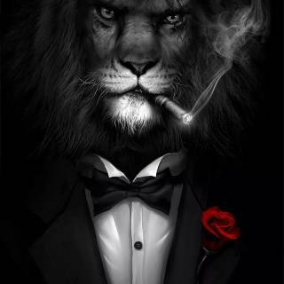 Cool lion phone wallpaper