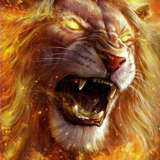 Cool lion phone wallpaper