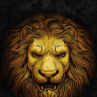 Cool lion phone wallpaper