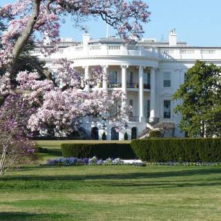 White mansion wallpaper