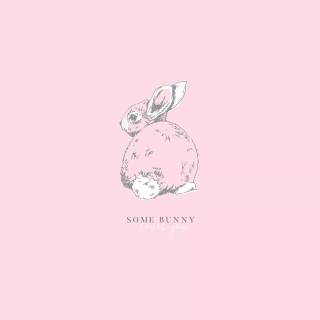 Preppy bunny wallpaper