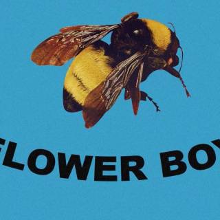 Flower Boy cover wallpaper